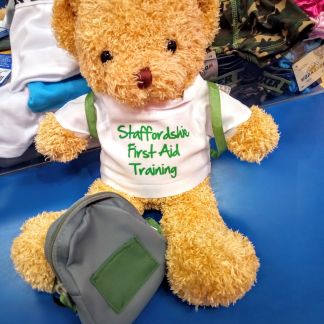 Level 3 Paediatric First Aid Ofsted/ EYFS Compliant (Classroom Day + E-Learning)